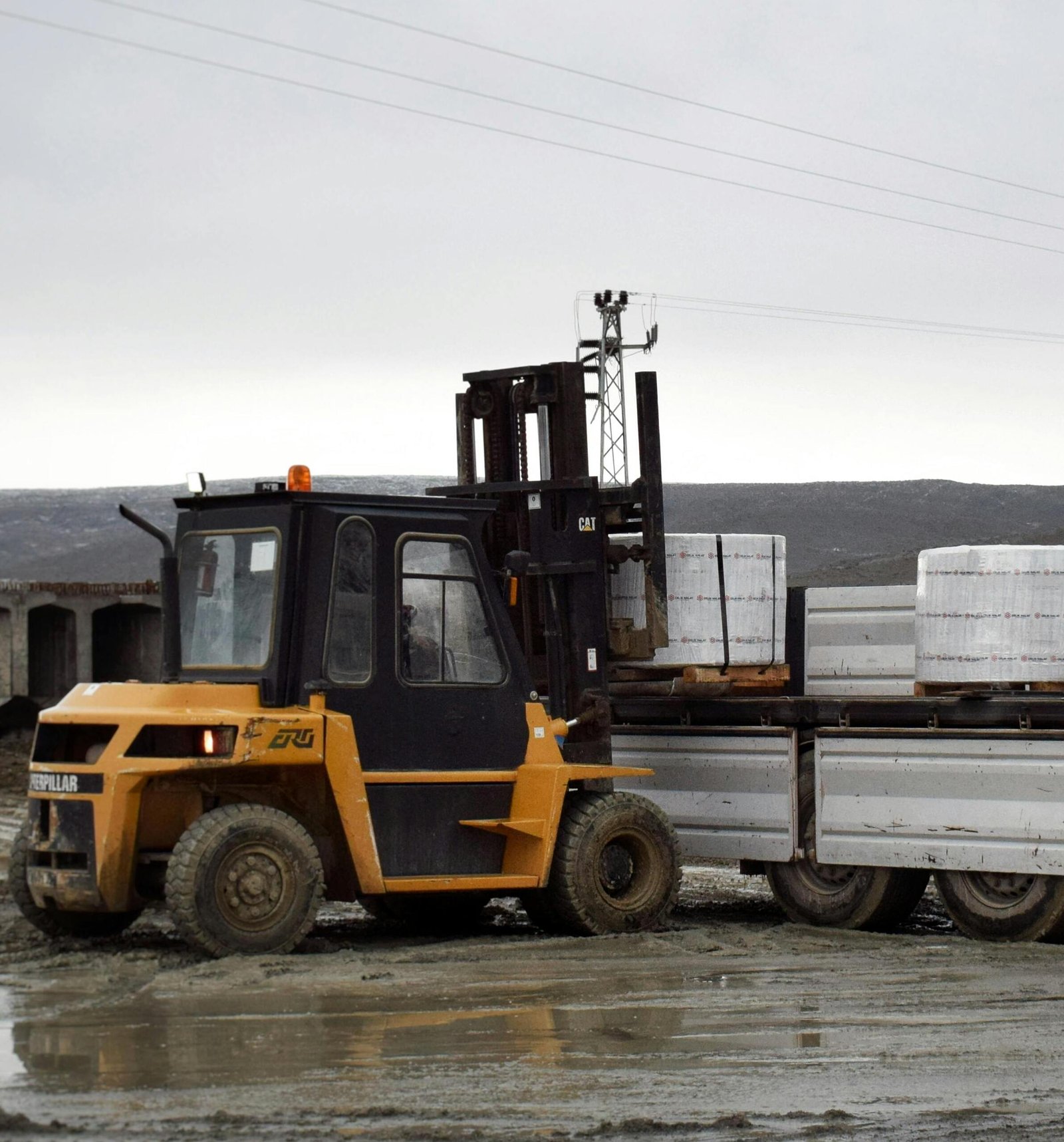 pexels-mibernaa-18699606(1)